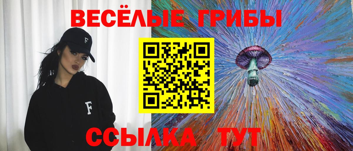 Псилоцибиновые грибы MAGIC MUSHROOMS  Вход с VPN  Унеча 